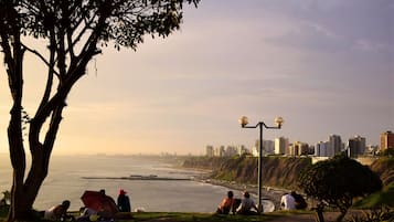 Un parque costero con gente sentada sobre el césped, un árbol y un farol.
