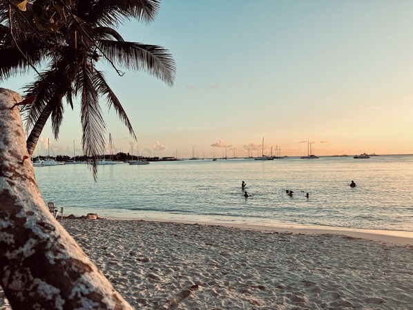 Sun-loungers