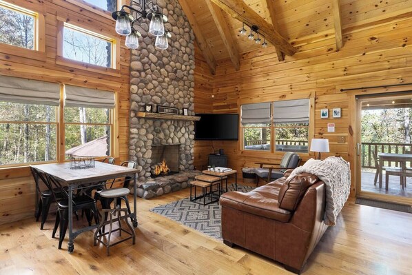 TV connectée, cheminée, jeux vidéo, lecteur de DVD