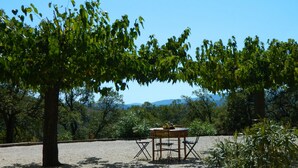 An outdoor seating area with a table and chairs, surrounded by trees and a clear view of distant mountains. - Vacation apartment with large pool in the hills of the bay of St. Tropez (La Garde-Freinet)