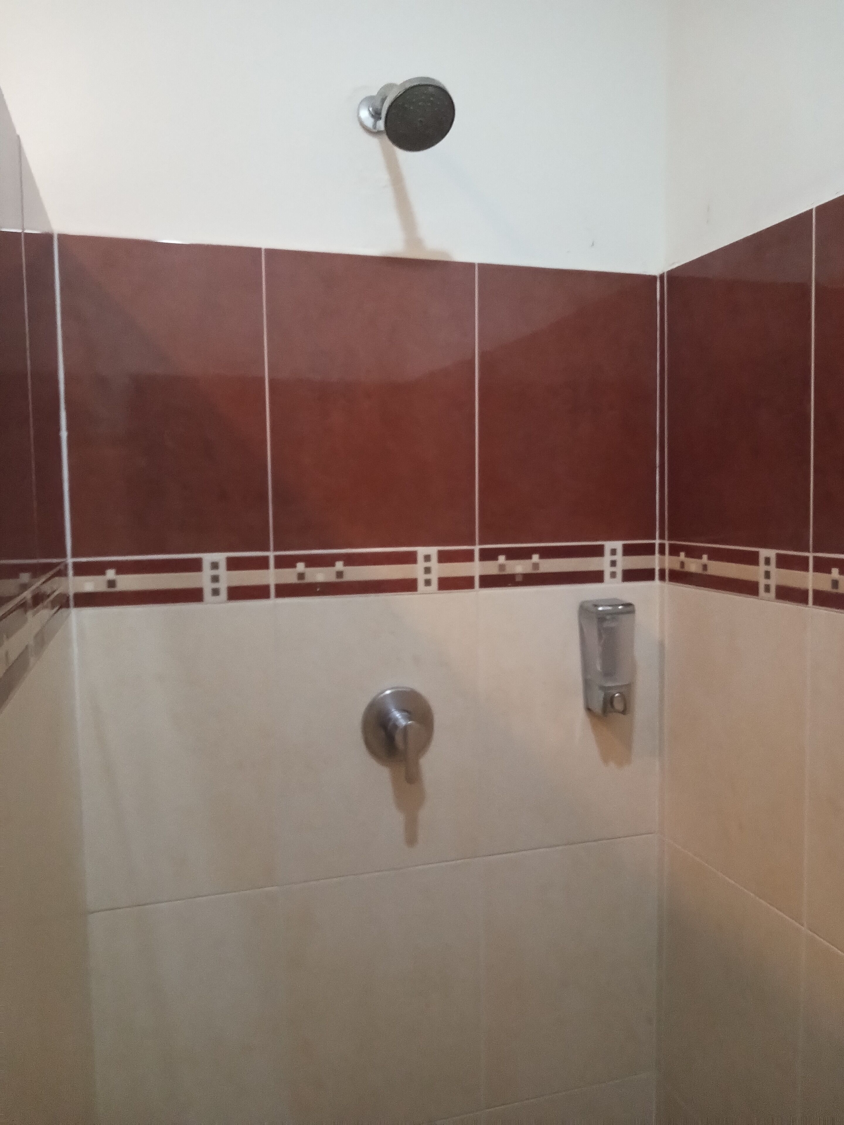 Doccia, asciugacapelli, asciugamani, sapone
