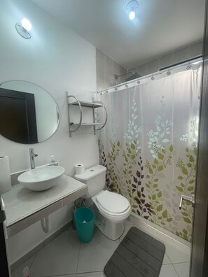Shower, towels, soap, toilet paper