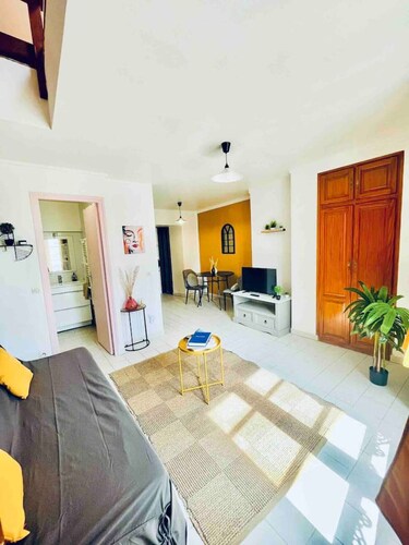 jaune · The KING DUPLEX near the Castle FONTAINEBLEAU