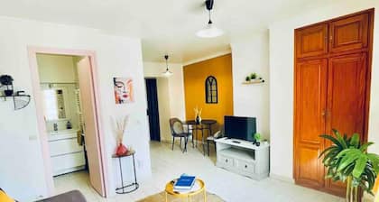 jaune · The KING DUPLEX near the Castle FONTAINEBLEAU