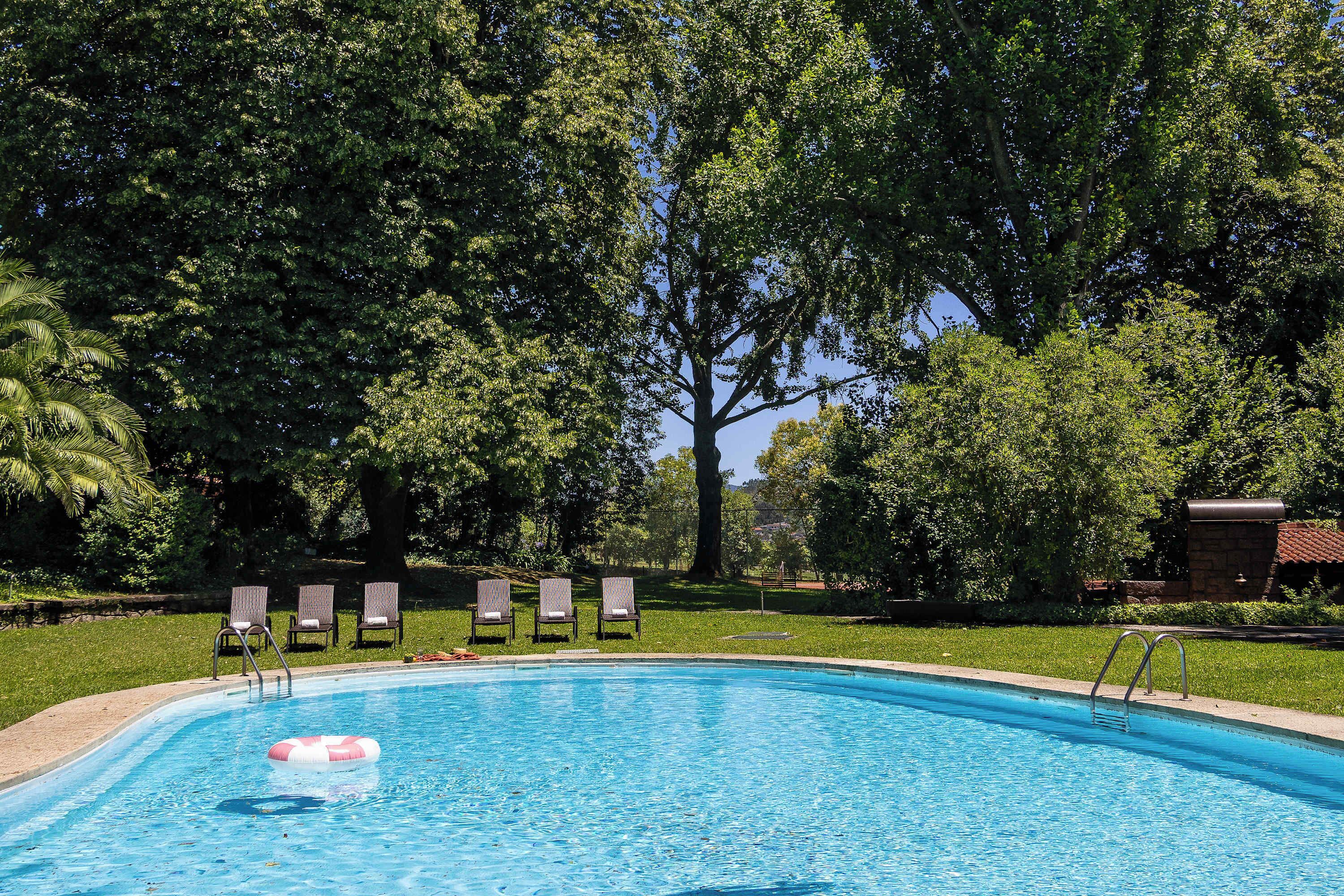 Ein Swimmingpool mit glatter, blauer Wasseroberfläche, umgeben von einer Rasenfläche mit mehreren Liegestühlen und einem großen Baum im Hintergrund.
