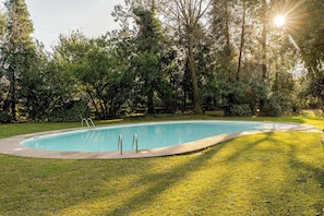 A rectangular swimming pool with a concrete edge, surrounded by a grassy area and trees.