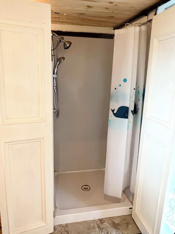 A shower area with a white door, a shower curtain with a whale design, and a shower head.