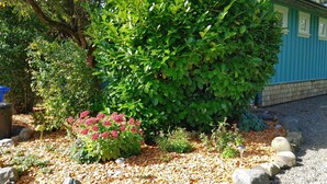 A garden with a variety of plants and a blue building in the background. - Spruce Suite - Beach and Vineyard steps away! (Cobble Hill)