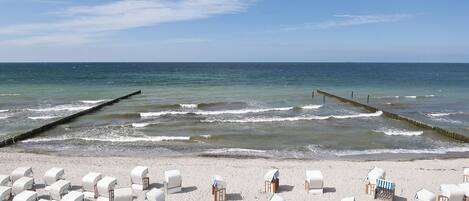 بالقرب من الشاطئ