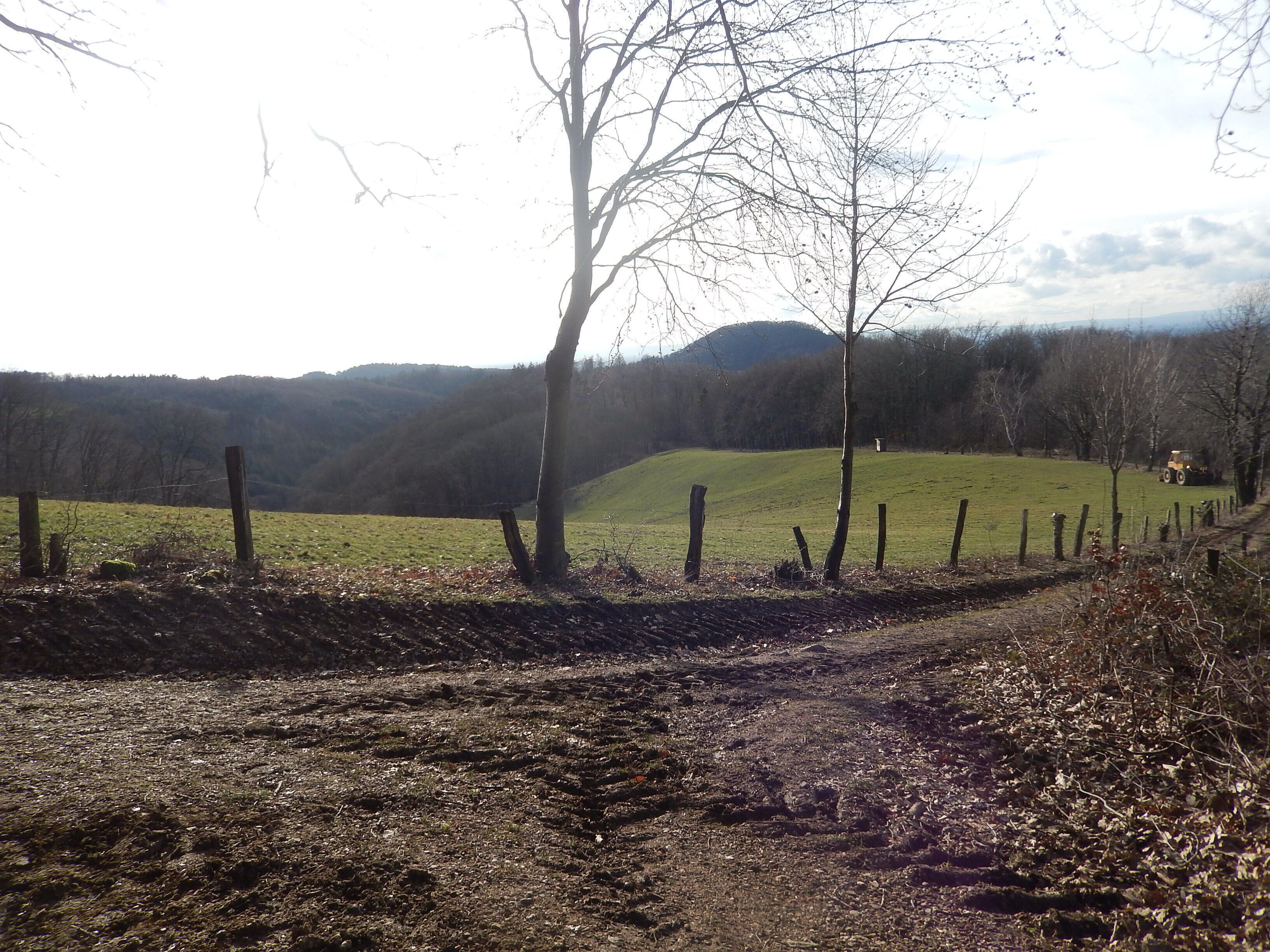 Ländliche Landschaft mit einem Feldweg, einem Zaun und einem Traktor in der Ferne.