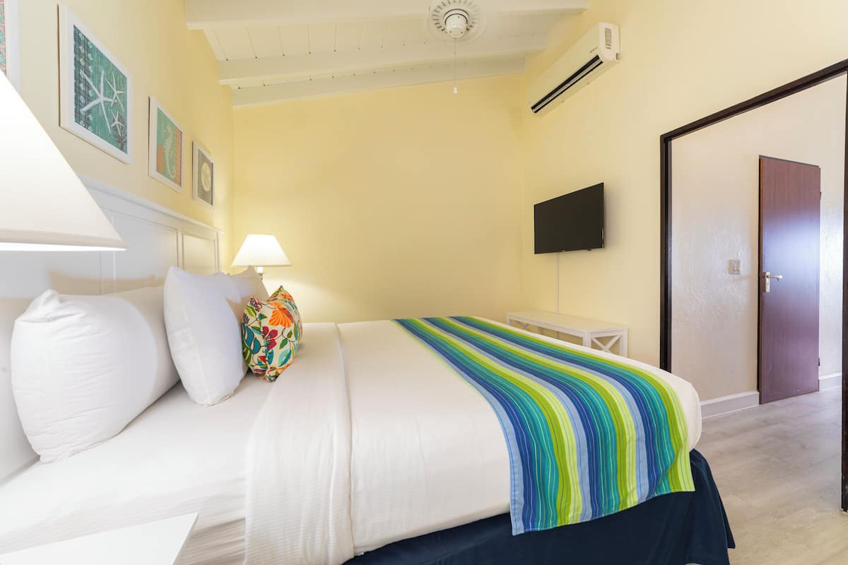 Habitación de hotel con una cama, un televisor y una puerta.