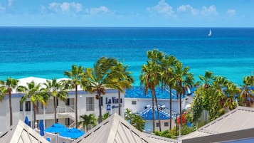 Beach/ocean view