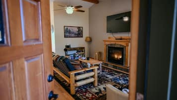 Smart TV, fireplace, books