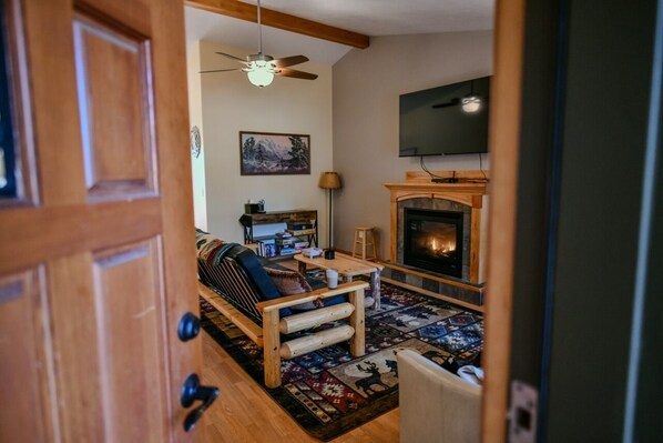 Smart TV, fireplace, books