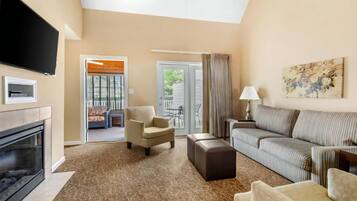 TV, fireplace, DVD player, computer monitors