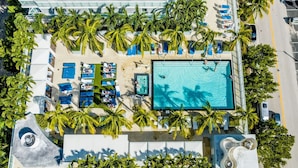 Un área de piscina en la azotea con múltiples sillones de descanso y una piscina rodeada de palmeras.