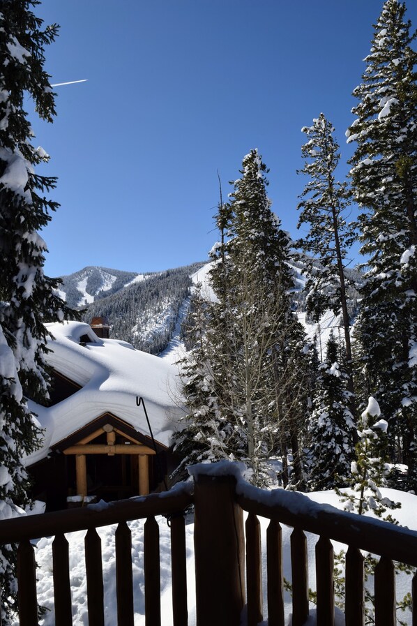 Property grounds - Cozy 3-bedroom townhome in beautiful Winter Park with great views, WiFi (Winter Park)