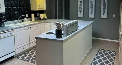 Historical Downtown Flat