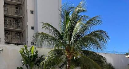 Apartamento Alto PadrĂŁo no Centro