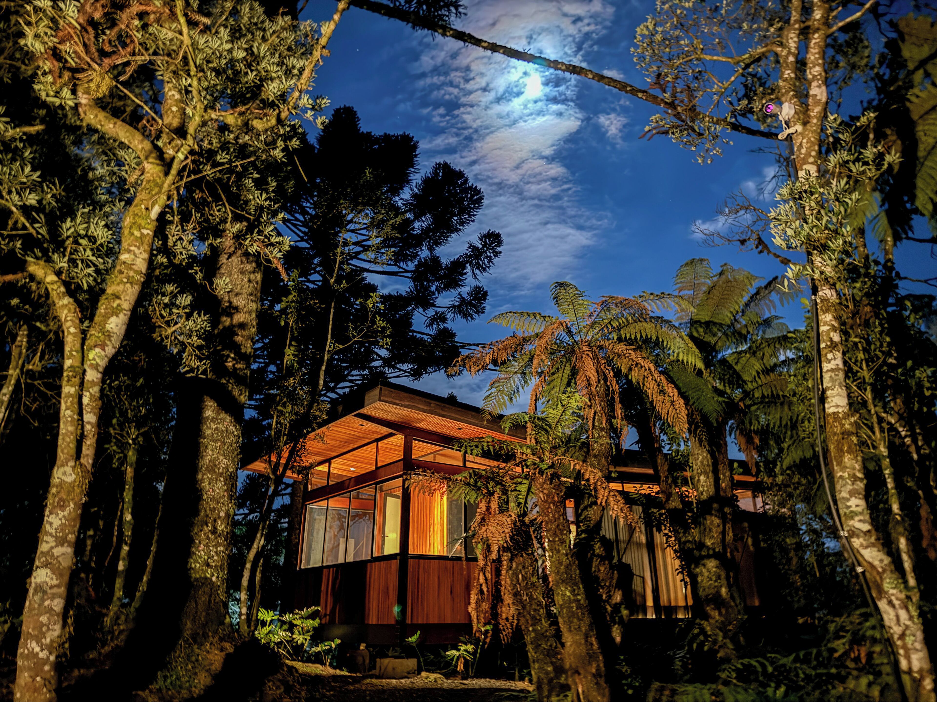 A modern house surrounded by dense tropical vegetation, with a clear night sky and visible moon.
