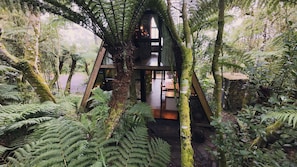 A treehouse with a wooden interior, surrounded by dense ferns and trees. - Serenus House (Urubici)