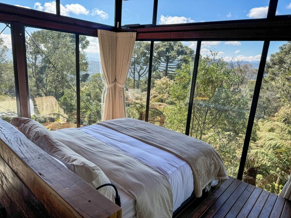 Deluxe Studio Suite, Mountain View