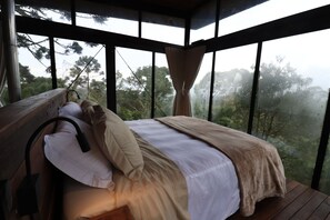 Deluxe Studio Suite, Mountain View | Premium bedding, down duvets, minibar, desk - Pousada Serenus House (Urubici)