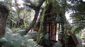 Une cabane perchée dans un arbre, avec une structure extérieure en bois, entourée d’une végétation luxuriante composée de fougères et d’arbres.