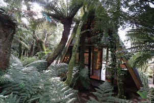 Deluxe Studio, Mountain View | Premium bedding, down comforters, minibar, desk