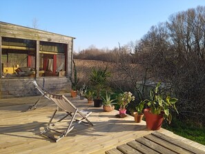 テラス / パティオ