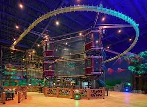 Parco avventura (team building)