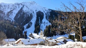 Miscellaneous - Spacious sunny vacation apartment (Innerferrera)