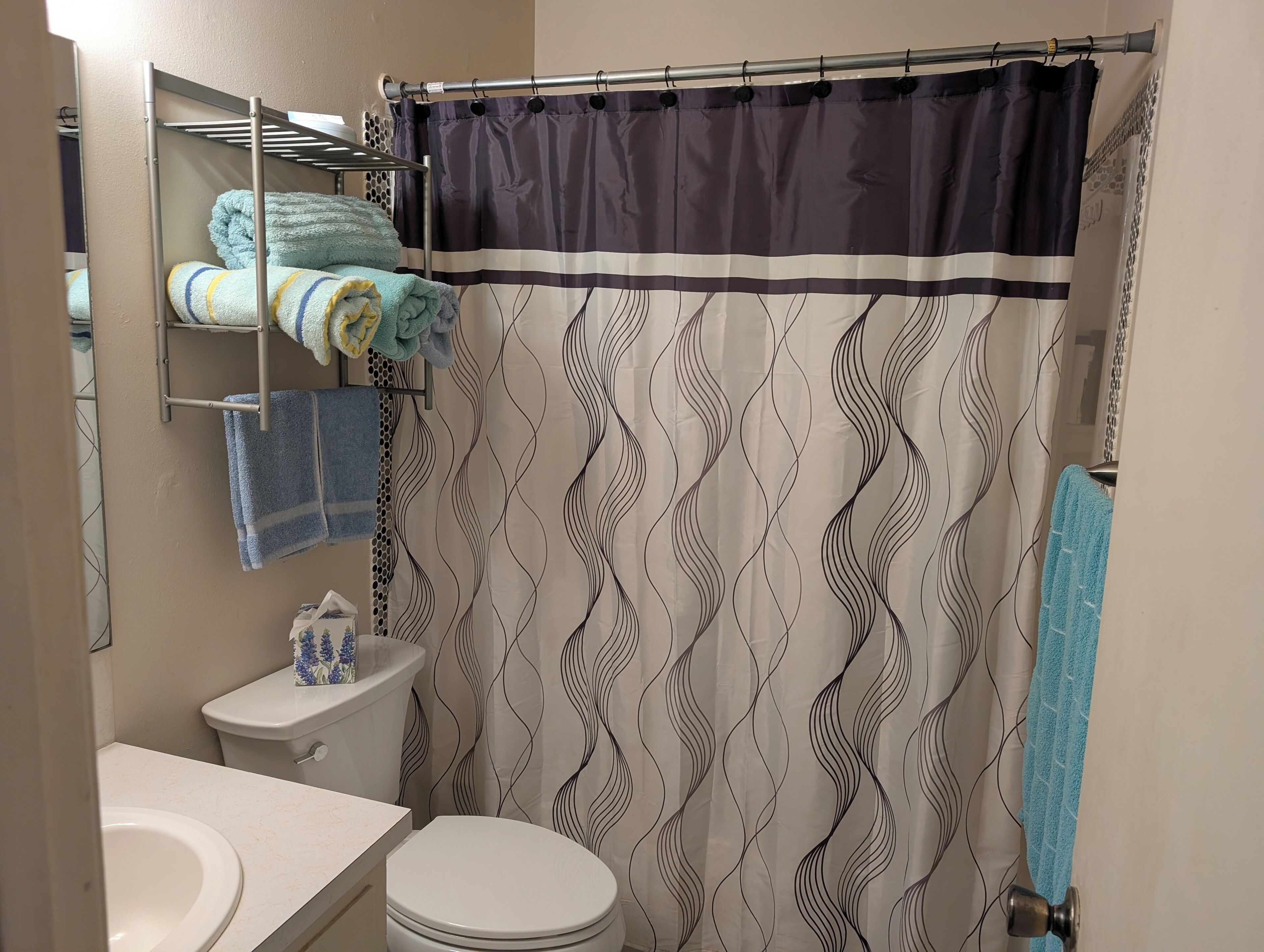 Une salle de bain équipée de toilettes, d’un lavabo, d’un porte-serviettes et d’un rideau de douche.