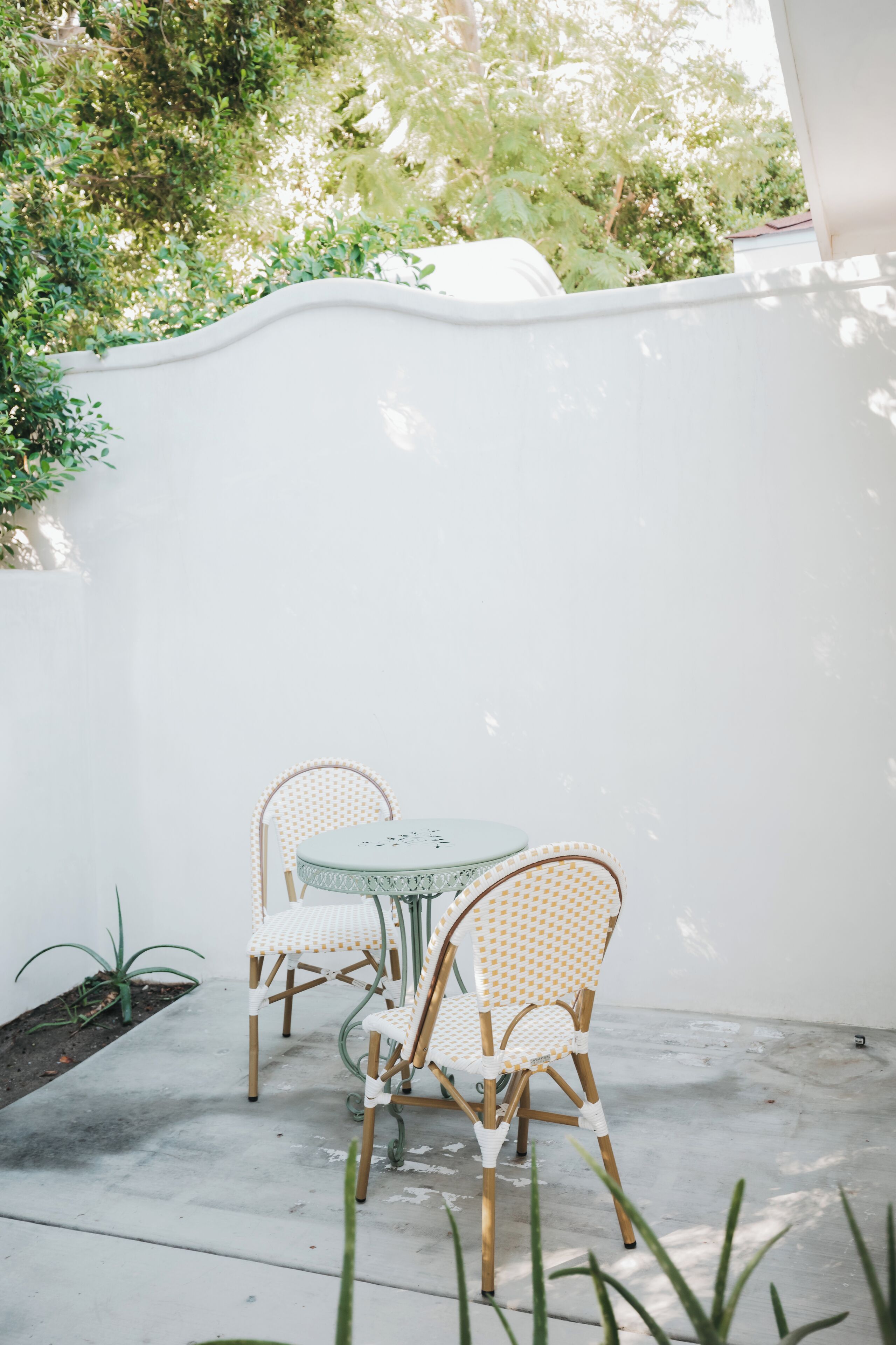 Foto - Casa Palma Hotel & Bungalows