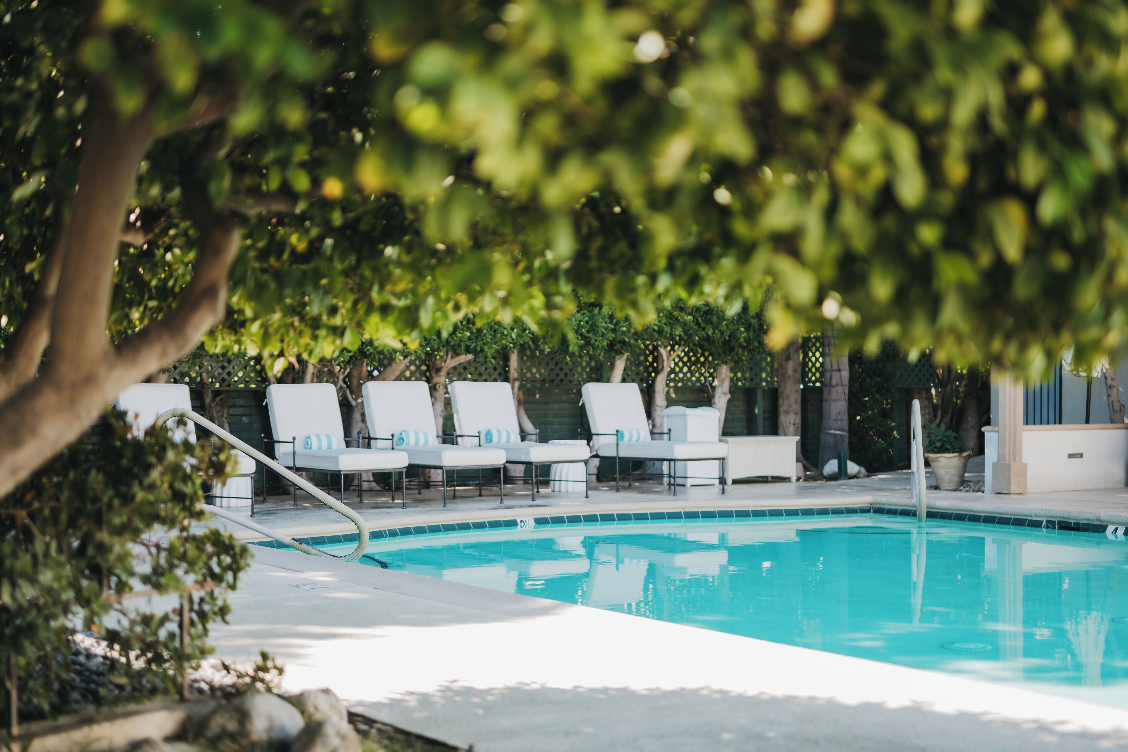 Une piscine avec des chaises longues blanches et un arbre au premier plan.