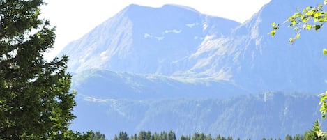 Une cabane moderne en bois, dotée d’un toit en pente, de nombreuses fenêtres et offrant une vue sur une chaîne de montagnes boisées.