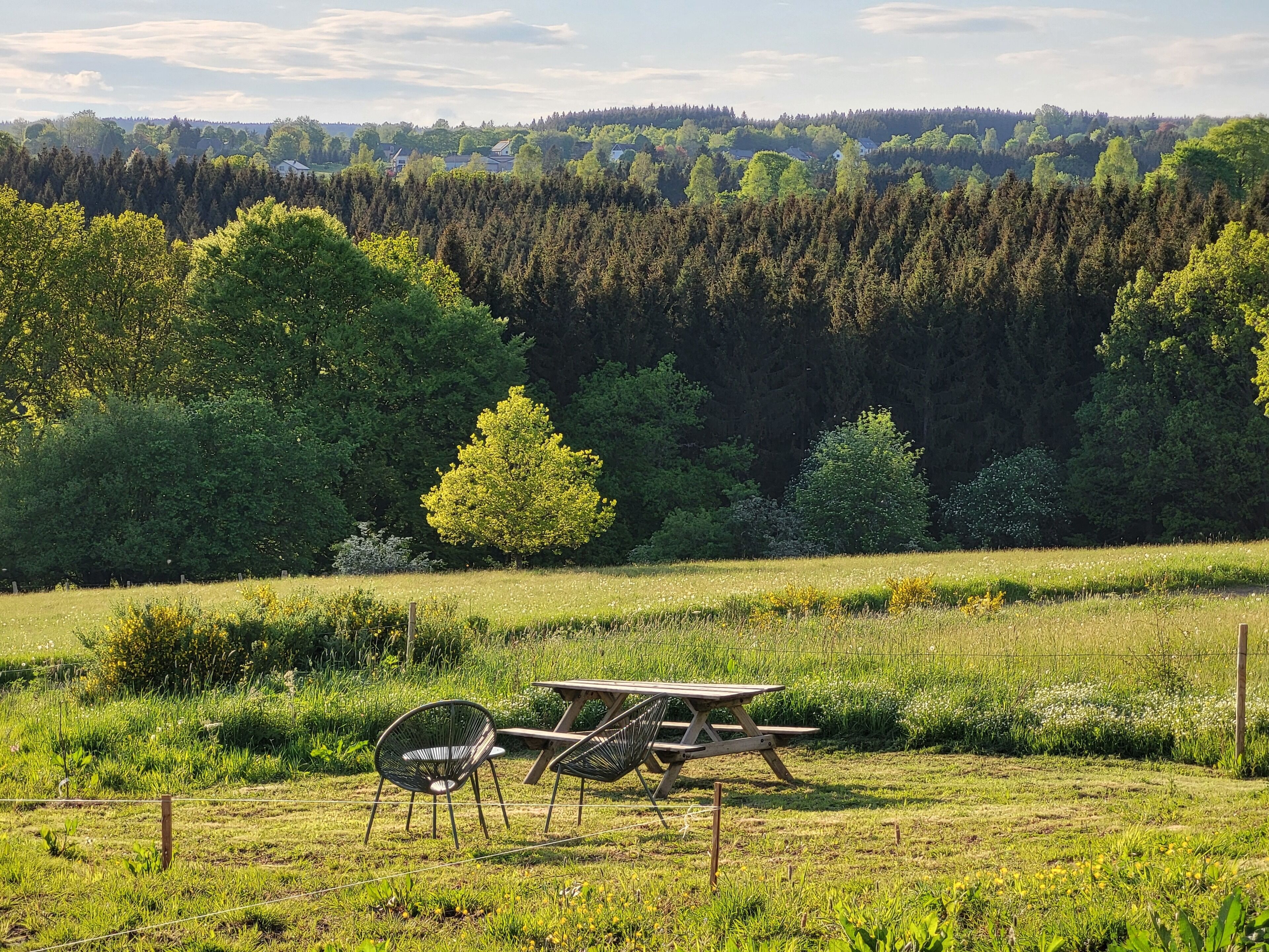 Een picknicktafel en stoelen in een grasveld, met een bos op de achtergrond.