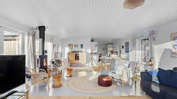 Smart TV, fireplace, video games