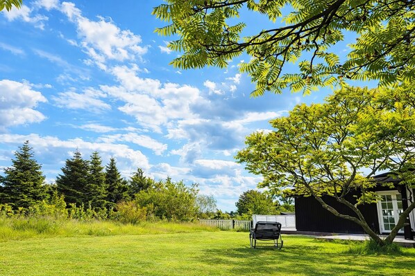 A grassy yard with a bench, trees, and a house. - Summer house near beach and forest with large garden (Melby)