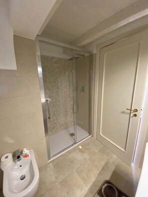 Shower, hair dryer, bidet, towels