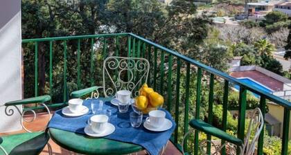 Global S'olivera Nº3 6505