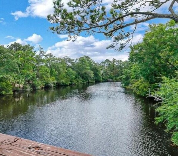 Un fiume con una fitta vegetazione su entrambe le sponde e un molo di legno che si protende nell'acqua.