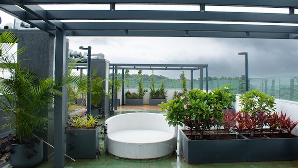 A covered outdoor seating area with a white wicker sofa, surrounded by potted plants and a metal pergola structure. - Cozy studio in marvelous Pune with AC, WiFi, Yashvantgad. (Pune)