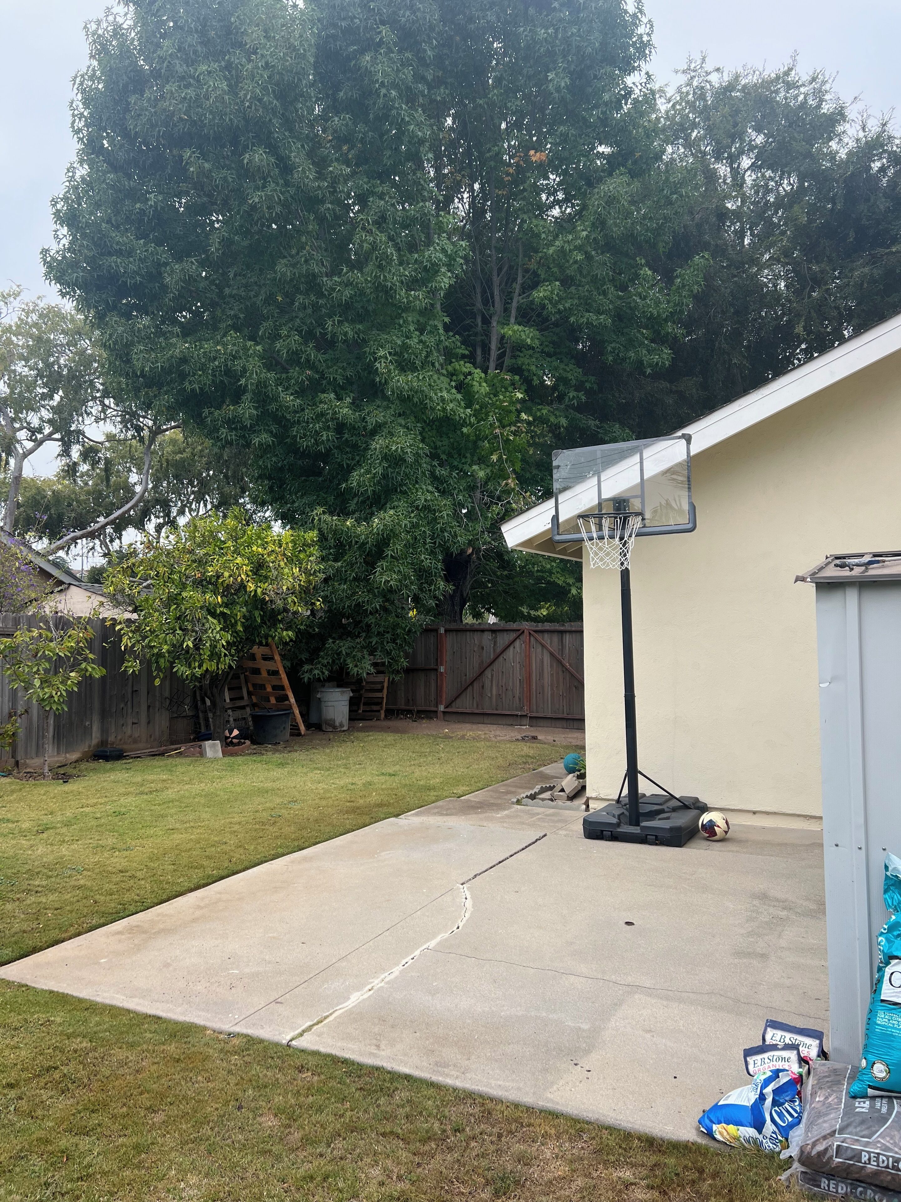 A backyard with a basketball hoop, a wooden fence, and a shed.