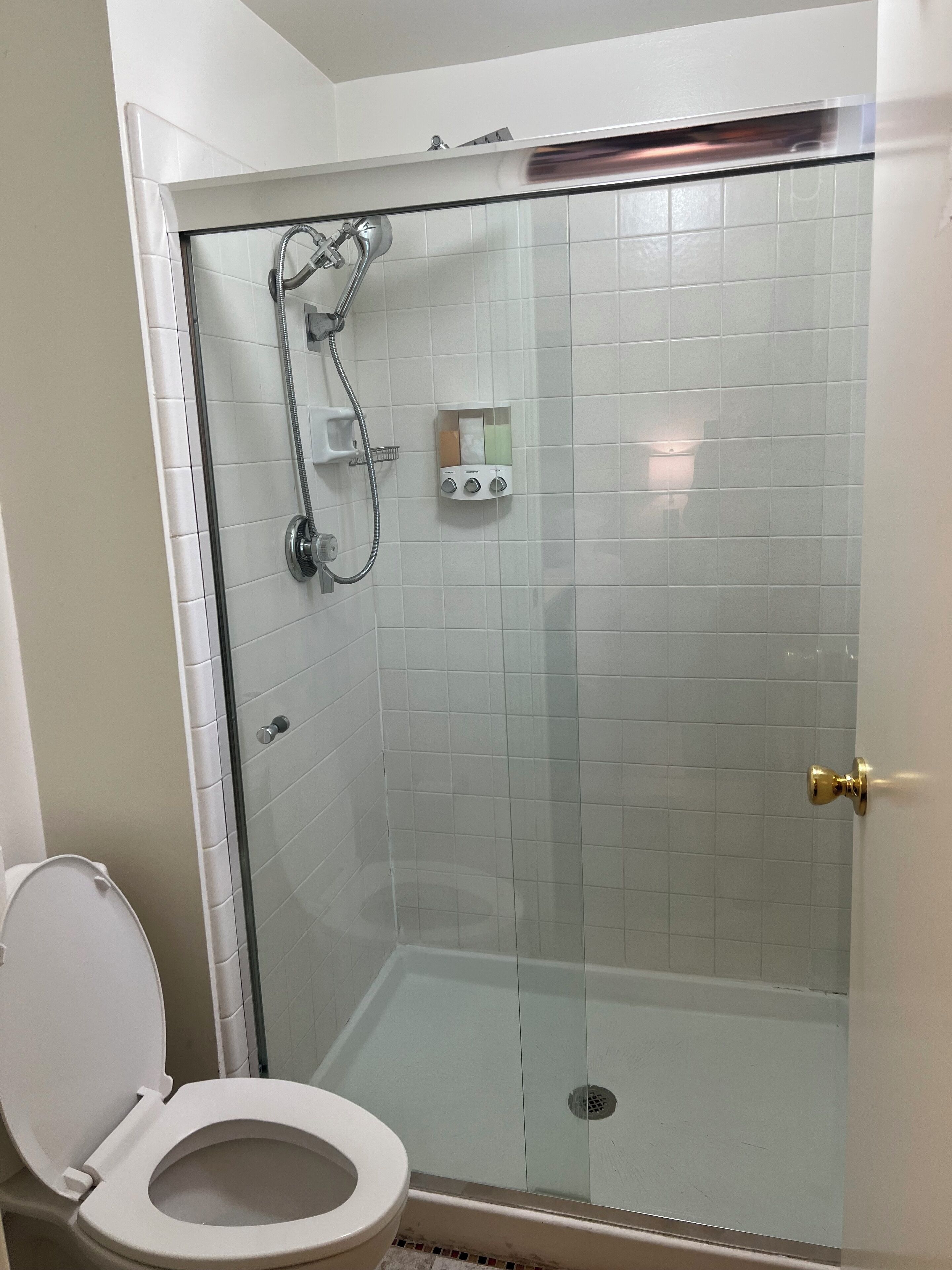 Et brusebad med glasvægge, en håndbruser, et toilet og en sæbedispenser på væggen.