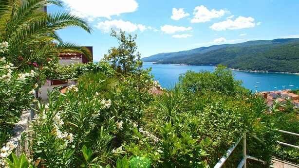 A coastal view with lush greenery and a clear blue sky.