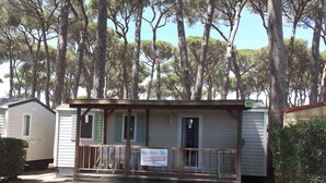 Une maison mobile dotée d’une véranda, entourée de grands arbres.