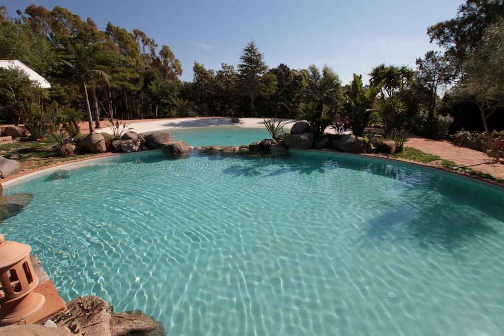 Ein klarer, blauer Pool, umgeben von Felsen und Bäumen.