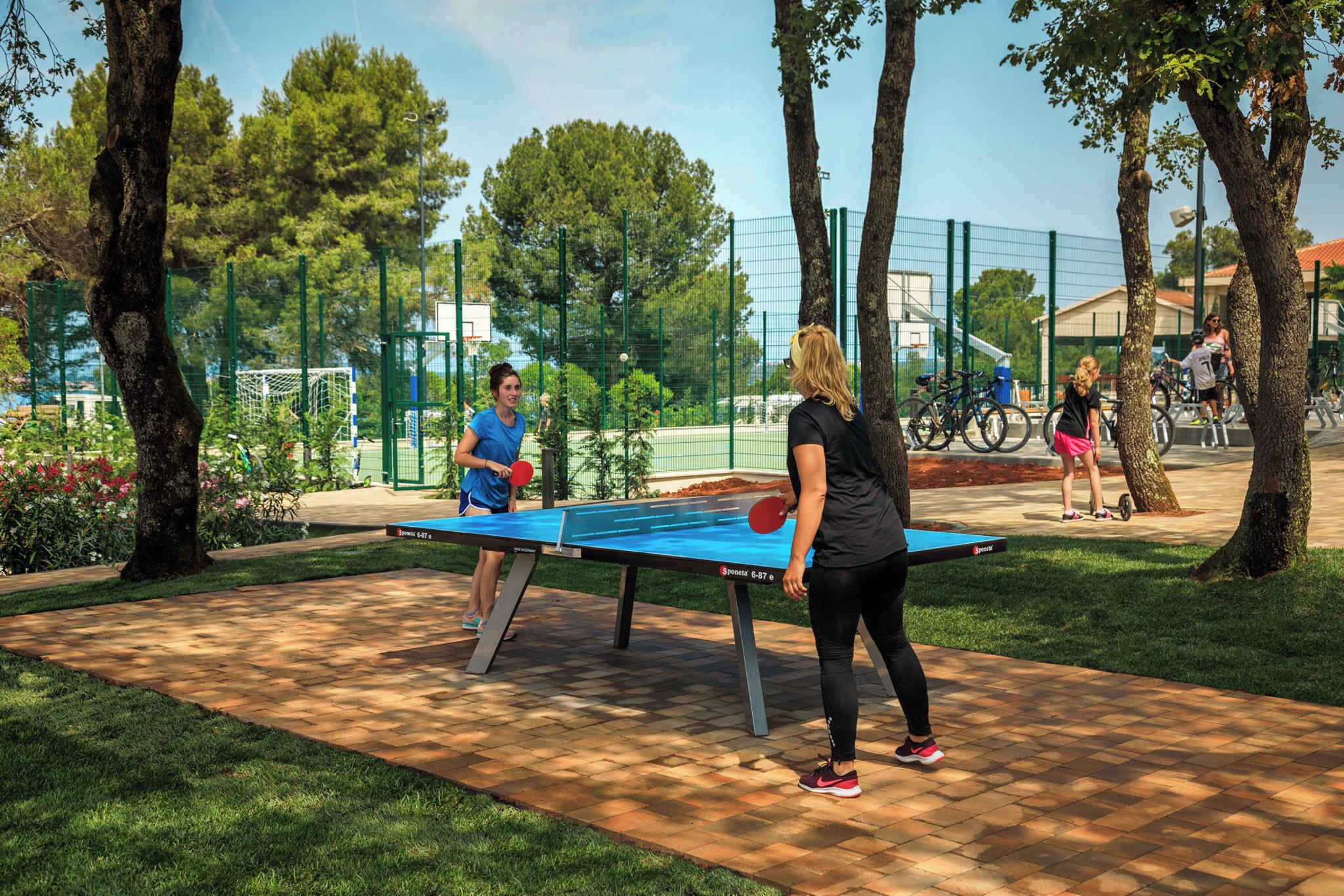 Een tafeltennistafel buiten in een park, met bomen en een hek op de achtergrond.