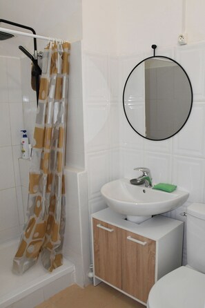 Shower, hair dryer, soap, toilet paper